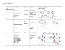 67 accurate biological macromolecules chart