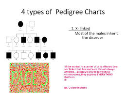 Notes Pedigrees Ppt Video Online Download