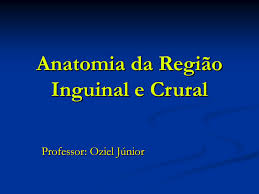 Anatomia Da Regiao Inguinal E Crural
