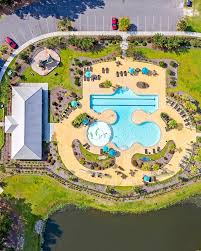 Image result for Linderniella boutiqueana