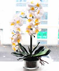 Fleurs et plantes artificielles, arbres artificiels et nourritures artificielles. Arrangement De Fleurs D Orchidees Artificielles En Silicone 1set Vase En Verre Fleurs En Pot Aliexpress