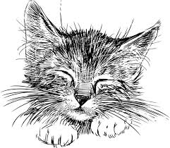 Kot wzór snu bez szwu. Naklejka Na Sciane Kot Spi 365 Dni Na Zwrot Miliony Wzorow 100 Ekologiczny Druk Profesjonalna Obsluga I Doradztwo Kitten Drawing Animal Drawings Cat Art