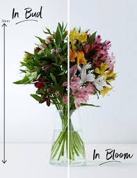 Marks and spencer special offers: Rainbow Alstroemeria Bouquet M S