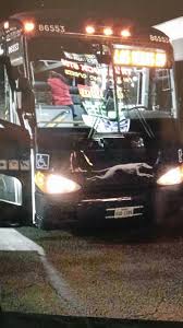 Mci D4505 Parowan Utah Greyhound Bus Greyhound Bus