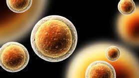Your body needs these nutrients in larger amounts in order to function properly as macro means large. What Are Macronutrients Definition Functions Examples Video Lesson Transcript Study Com