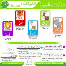 Kosakata Harian Bahasa Arab 49 Kosakata Bahasa Bahasa Arab