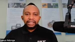 Zaina Lee MSW, M.Ed., MHA Children's Book Author