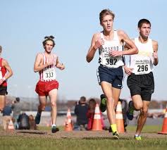 Kalamazoo-area runners bring high hopes to MIS for cross country state  finals