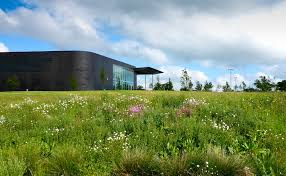 The Environment Bill The Greatest Change In Biodiversity Legislation In A Generation Bsg Ecology