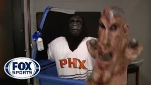 Phoenix suns shirts and tees are stocked at fanatics. How Did A Gorilla Become The Suns Mascot 12news Com