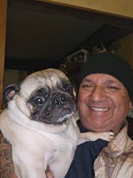 Good night pug family gadgette and Chiquita