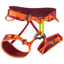 edelrid jay ii climbing harness vinered lollipop s