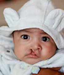 Partners in Care The Mission of M.O.S.T.