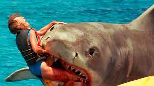 Sign up for free today! 10 Worst Great White Shark Attacks Youtube