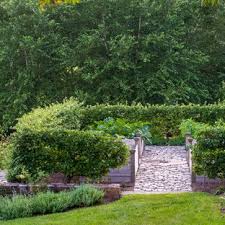 We did not find results for: Gardening Fruit Trees Houzz