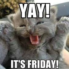 Happy Friday Eve Meme Explore catcandlear's (@catcandlear) posts on pholder | see more posts from u/catcandlear like happy friday eve everyone! best wallpaper for mobile
