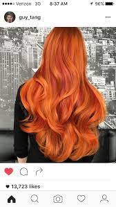 Guy Tang Makes Magic Happen Love This Orange Copper Hair Hair Color Orange Hair Color Auburn Burnt Orange Hair