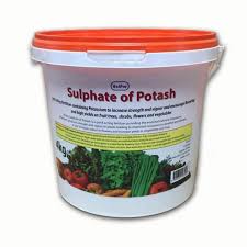 Maybe you would like to learn more about one of these? Sulphate Of Potash 4kg Plant Feed Sprays Feeds Garden Homeland Stores
