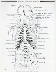 Applied Kinesiology Nutritional Muscle Testing Muscle