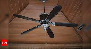 Next up is the havells yorker ceiling fan, one of the most unique fans on our list. Ceiling Fans To Increase Circulation And Air Movement In Your House Most Searched Products Times Of India