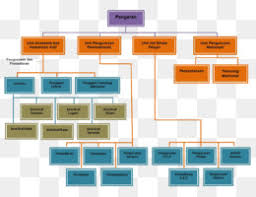 Organigrama De La Empresa Microsoft Corporation Microsoft Visio Airbus Organigramadescargar Libre 1000 600 178 01 Kb Imagen Png Imagen Transparente Descarga Gratuita