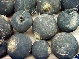 Quali sono le eventuali controindicazioni? Sciroppo Di Rapa Nera Rimedio Naturale Contro La Tosse Bimbonaturale Org