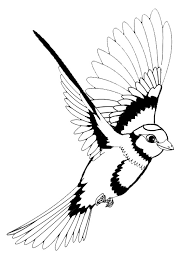 Vogel Malvorlagen Vogel Malvorlagen Kostenlos Druckbare Malvorlagen Vogel Birdsvogel Vogel In 2020 Vogel Malvorlagen Malvorlagen Kostenlose Malvorlagen