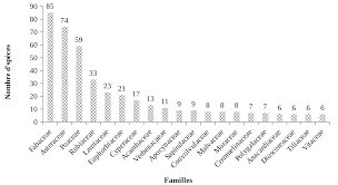 Image result for Dissotis ruandensis