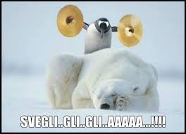 Buongiorno Archives Buongiornoate It Buongiorno Divertente Immagini Divertenti Buongiorno Immagini