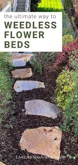 Maintenance Free Weedless Flower Beds In 10 Steps Live Like You Are Rich In 2020 Fall Landscaping Flower Beds Garden Help