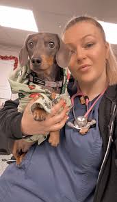 E C Straiton & Partners added a...