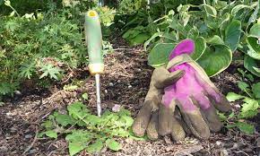 The weeder's claw at the bottom pulls the weed from the base and stops it from coming back. 9 Best Weeding Tool Types Demolish Your Weeds Epic Gardening