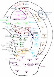 Acupressure Points Chart Pdf Www Bedowntowndaytona Com