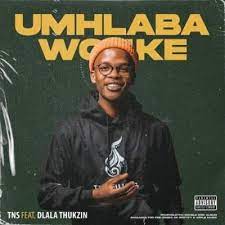 Baixar album de makhadzi é um livro que pode ser considerado uma demanda no momento. Musica De Makhadzi Maplisa 2019 Makhadzi Matorokisi New Hit 2019 Youtube Makhadzi Mapholisa Mp3 Fakaza Drops Off The Download To The New Music Video Of South African House Singer Makhadzi