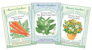 I had a purple themed wedding and i was sure to make everything match. 4qshxg6bcgpjsm