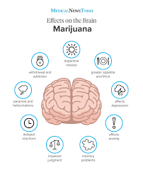 'how can i stop being so introverted? How To Get Unhigh Tips For Reducing The Thc Buzz