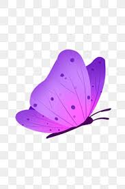 Purple butterfly png image format: Rvwnf6rx9jqxqm