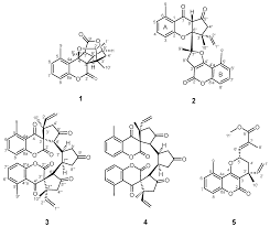 Image result for Ethulia vernonioides