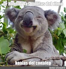 Francoescamilla #francoescamillaconalep #conalep siganme en: Meme Dr Hobbo Y Las Pollitas Del Ritmo Koalas Del Conalep All Templates Meme Arsenal Com