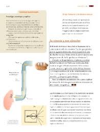 Paco el chato 4 grado ciencias naturales from wcmxpro.s3.amazonaws.com. Tema 1 Aprovechamiento De La Formacion De Imagenes En Espejos Y Lentes Ayuda Para Tu Tarea De Ciencias Naturales Sep Primaria Sexto Respuestas Y Explicaciones