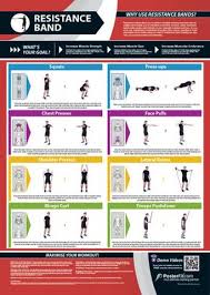 Resistance Band Workout Professional Fitness Training Wall Chart Poster W Qr Code Posterfit