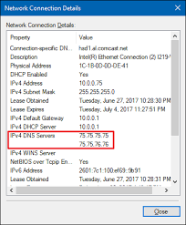 Dns servers translate the friendly domain name you enter into a browser (like lifewire.com) into the public ip address that's needed for your device to actually communicate with that site. What Is Dns And Should I Use Another Dns Server