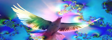 images?q=tbn:ANd9GcQHR2p_h41LPEP1rj0CWTPLwfktx7uDHHPFocxjmRC3GJusCZcy