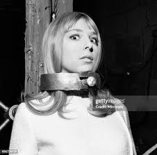 2,876 Amber Room Stock Photos, High-Res Pictures, and Images