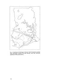 Image result for Pandiaka welwitschii