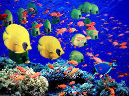 Pin On Travel Bucket List