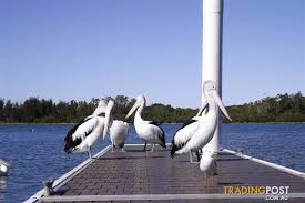 Maybe you would like to learn more about one of these? 4 Bayside Avenue North Haven Nsw 2443
