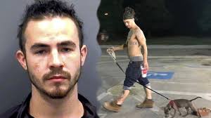 Man cited for animal cruelty after pics of dog pulling bricks