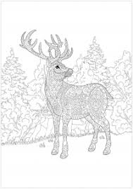 Reviewed in the united states on september 26, 2018. Christmas Coloring Pages For Adults