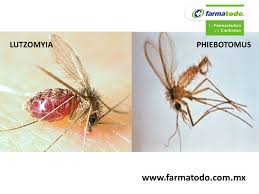 Pin On Ciencia